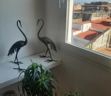 Quartieri Spagnoli Apartment | Toledo panoramic Rooftop in Naples