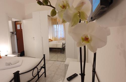 Giambellino Apartment | Tolstoj Metro Apartment MIlano