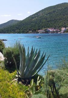 Grebastica Apartment | Toma's Apartment