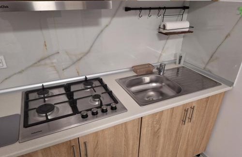 Drobeta-Turnu Severin House | Tomescu Vasile Daniel