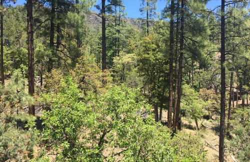 Payson Cabin | Tonto Creek Mountain Cabin - Great Views with Hot Tub and WiFi