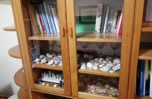 San Cristobal de La Laguna House | Tony Frias - Canarian Wrestling