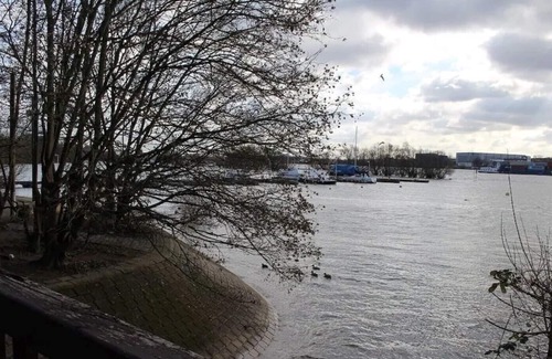 Niederwalluf Apartment | Top furnished holiday apartment with 50 sqm in a beautiful villa in a TOP location