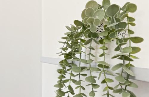 Thabor - Saint-Helier Apartment | Topaze - Centre Historique - Proche Gare - Calme