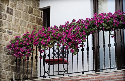 Suances House | Torre de Quintana