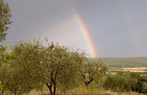 Monteriggioni Bed & Breakfast | Torre Della Chiocciola