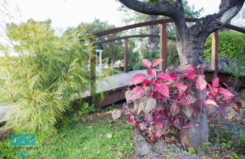 Mount Vesuvius - Pompei Bed & Breakfast | Torremerlata B&B