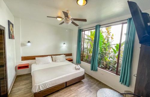 Mindo Apartment | Toucan Platinum Suites Aparthotel