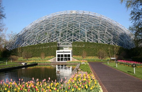 Tower Grove East Apartment | Tower Grove Pet Friendly 2nd Floor Studio - 4 mi to SLU & Barnes -Shared Laundry