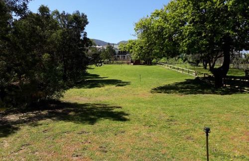 Caledon Apartment | Town and Country