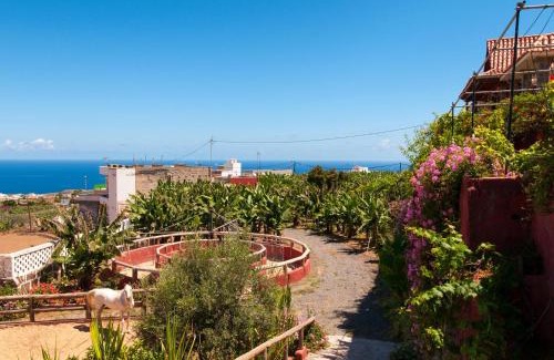 Arucas Villa | Traditional Arucas by VillaGranCanaria