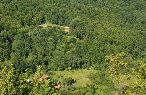 Breznik Plesivicki Cottage | Traditional tiny cottage with a big yard surrounded by lush forests