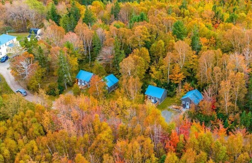 Wreck Cove Cabin | Trailside Cottage #1