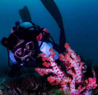 Mabini Hotel | Tranquil Getaway Lilly Room, Dahlia Room, Aster Room and Poppy Room & Dive Center