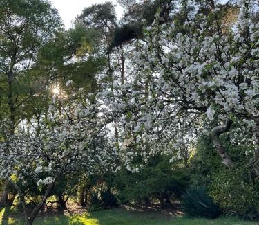 Graffham House | Tranquil home at Westerlands Farm, Sleeps 7, The South Downs