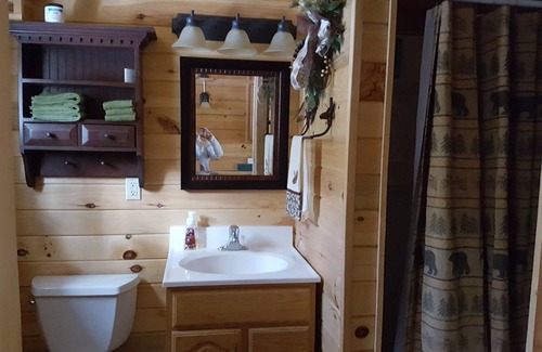Weyerhaeuser Cabin | Tranquil log cabin located in the Blue Hills. Enjoy privacy and solitude.