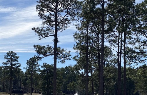 Brookeland Cottage | Tranquil Pine Retreat: Hammocks, Kayaks, Golf, WIFI, and minutes to ramps ⛳️ 🎣🥂