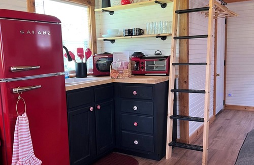 Cassville RV Rental | Tranquil Retreat: Charming Pet-Friendly Tiny House Cabin Amidst Nature's Beauty!