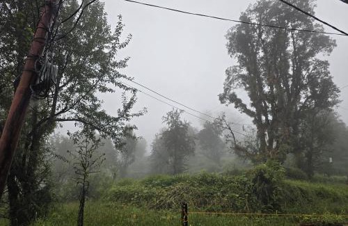 Naddi House | Tranquil trails home stay naddi