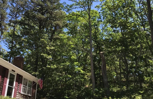 Wellfleet House | Tranquility at The Cape