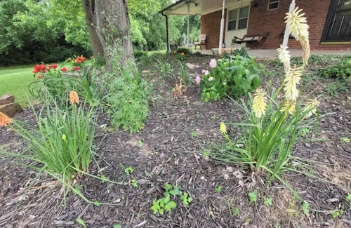Muskogee House | Traveller's peaceful paradise