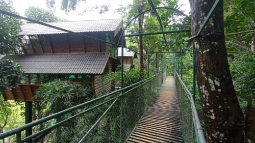 Sulthan Bathery Resort | Tree House Wayanad