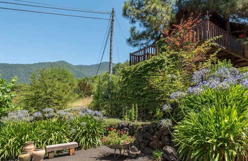 La Orotava Cabin | Tree House with farm house