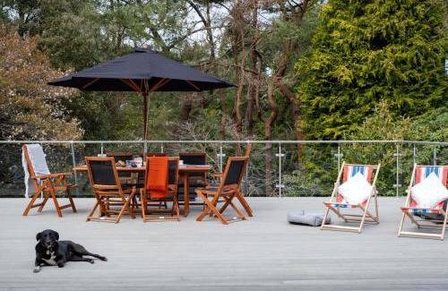 St Leonards House | Tree Top House