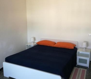 Pisa City Centre House | Treehouse