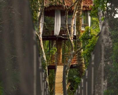 Saquena Cabin | Treehouse Lodge