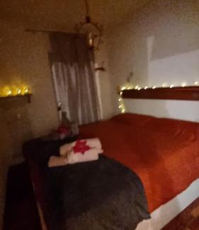 Norge Apartment | Trento- Monte Bondone Appartamento tipico di montagna