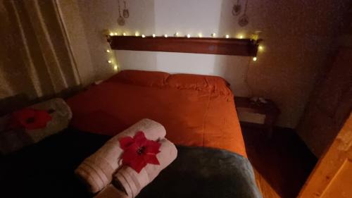 Norge Apartment | Trento- Monte Bondone Appartamento tipico di montagna