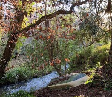 Truro Villa | Tresillian Lodge Waterfront, Forest, Hot tub,Sauna