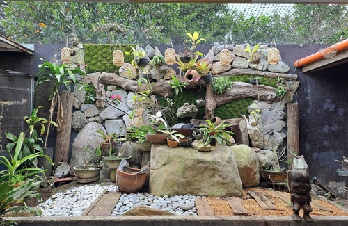 Anilao House | Tribal Bliss Private Resort in Lipa Batangas, a Privat Guest Room With Pool