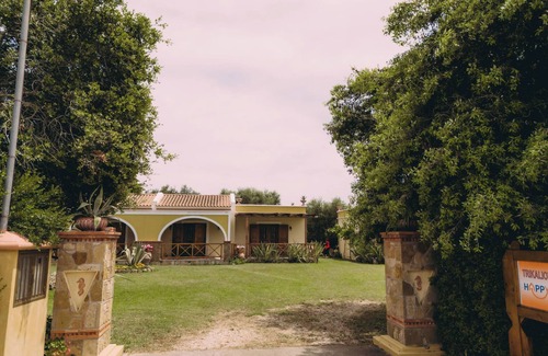 Ilida Apartment | Trikalioti's Lush Estate Apt Afrodity