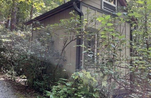 Dahlonega House | Triple Falls Treehouse