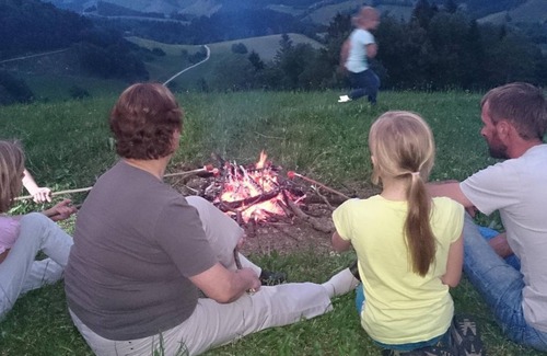 Grossraming Other | Triple room, shower, WC, south - Ferienhof Rabenreith