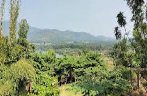 Chikkamagaluru House | TripThrill Siya Homestay