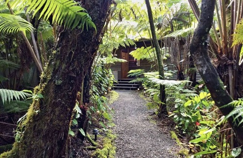 Volcano Cabin | Tropical 1-bedroom cabin. Five minute drive to Hawaii Volcanoes National Park.