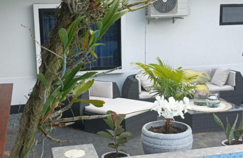 Boxel Apartment | Tropical appartement