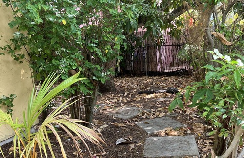 El Cid Cottage | 🌴Tropical Cottage, In The Lovely Palm Beach Historic District LOCATION!