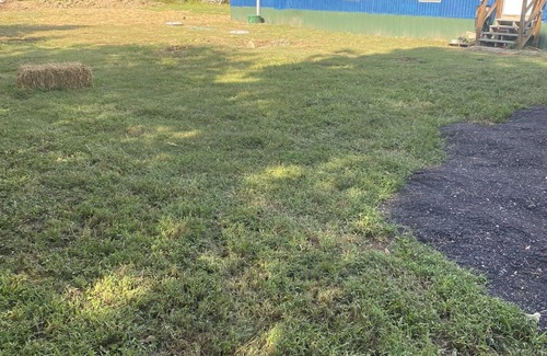 Wright House | Tropical trailer in the country