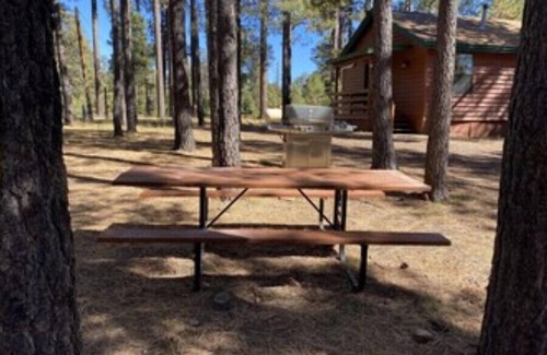 Heber Cabin | Trout Springs Cabin #2