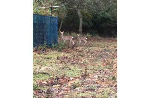 Higashiizu House | Trust Maison Katase - Vacation STAY 24205v