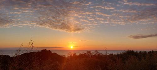 Tsushima Villa | Tsushima Izuhara Pension
