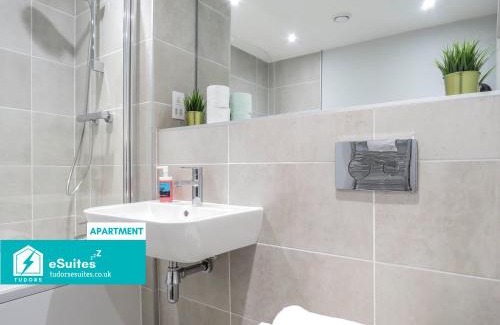 Birmingham City Centre Apartment | Tudors eSuites - 2 Bedroom Apartment - 37J