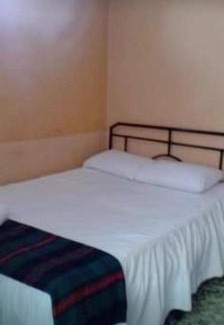 Comas House | Tulipaneslima