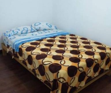 Comas House | Tulipaneslima