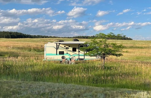 Peyton House | Turquoise Tilly - It's a VIBE!