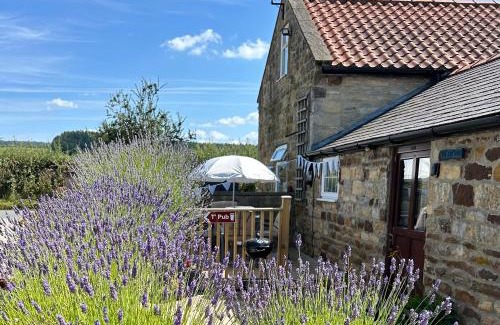 Scawton House | Twattleton Cottage Kilburn Yorkshire - Beautiful views